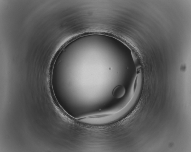 X0000097850942200803281245