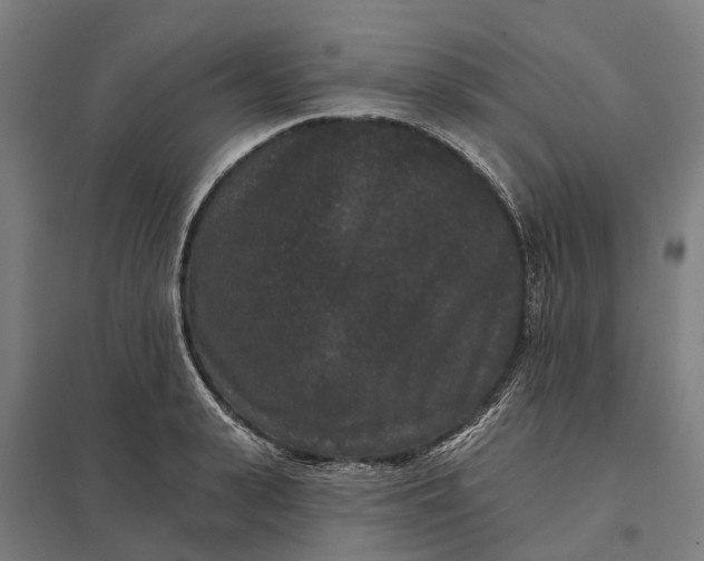 X0000097850943200803281245