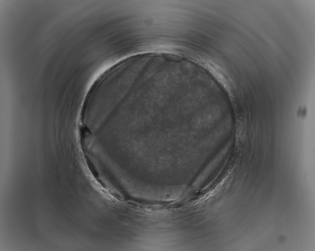 X0000097850944200803281245