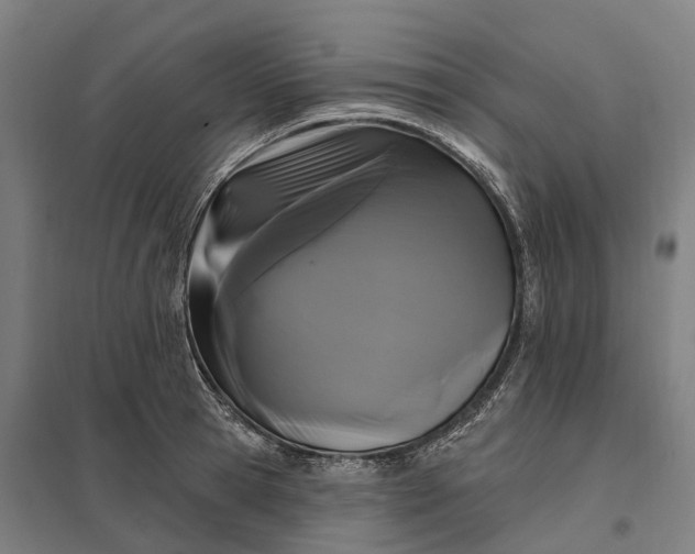 X0000097850945200803281245