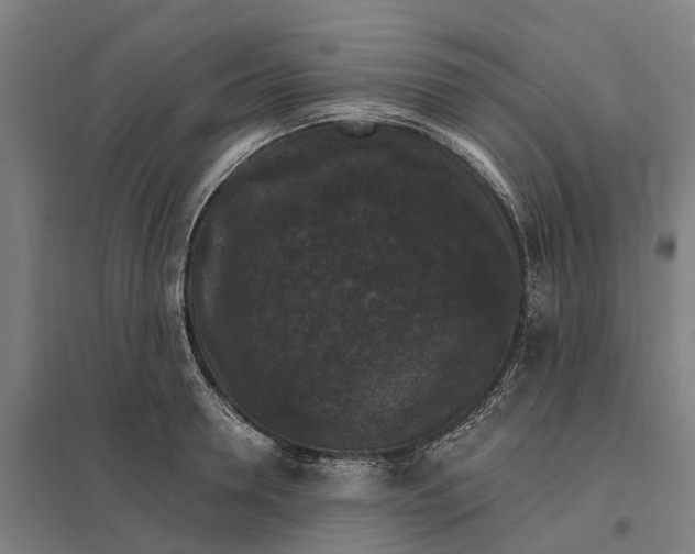 X0000097850946200803281245