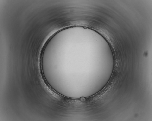 X0000097850947200803281245