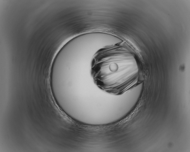 X0000097850948200803281245