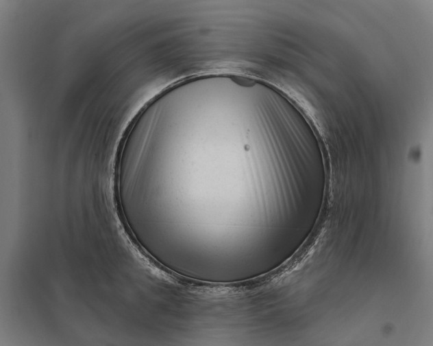 X0000097850949200803281245