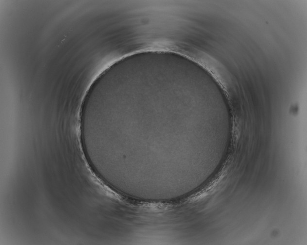 X0000097850950200803281245