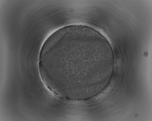 X0000097850951200803281245