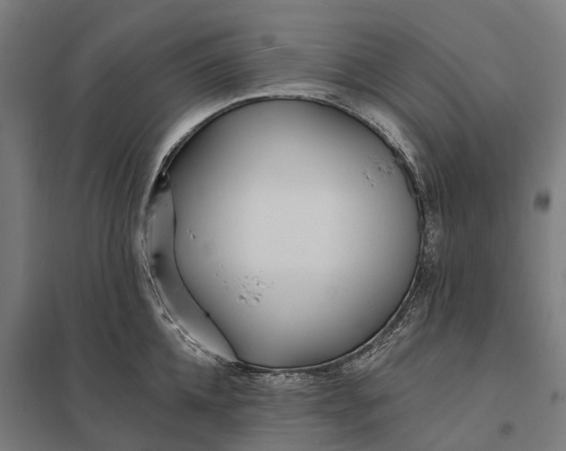 X0000097850952200803281245