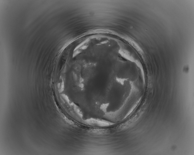 X0000097850953200803281245