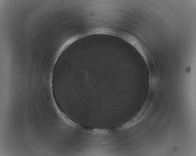 X0000097850954200803281245