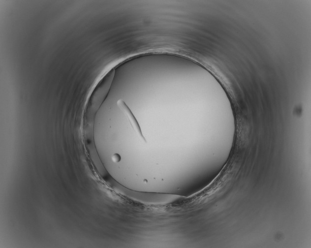 X0000097850956200803281245