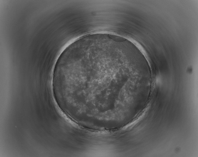 X0000097850957200803281245