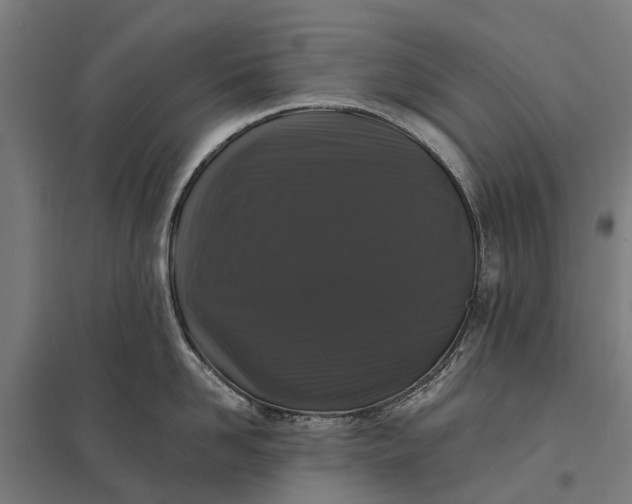 X0000097850958200803281245