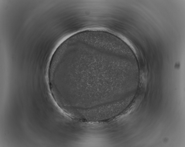 X0000097850959200803281245