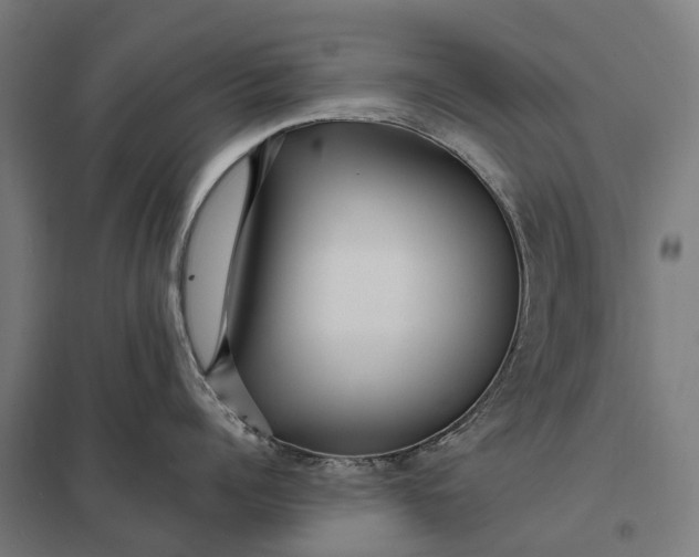 X0000097850960200803281245