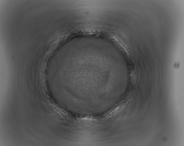 X0000097850961200803281244