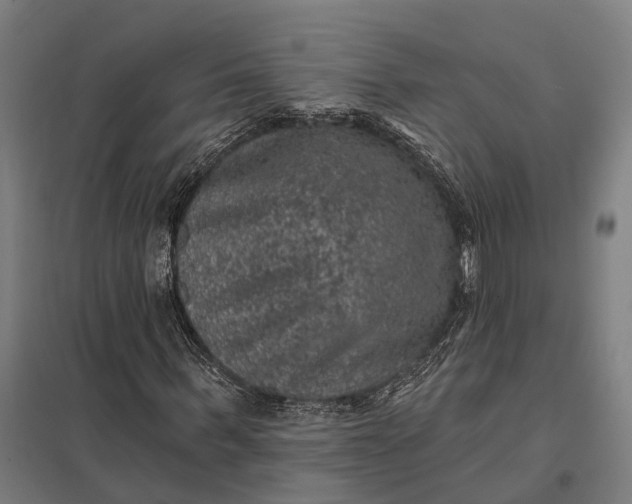 X0000097850963200803281244