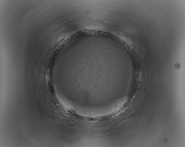 X0000097850965200803281244