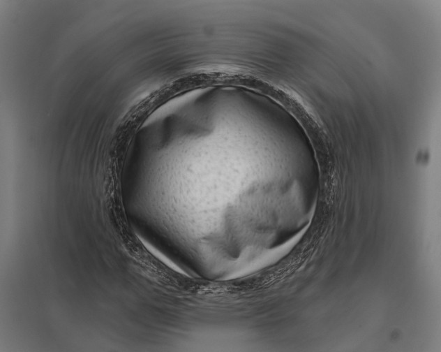 X0000097850967200803281244