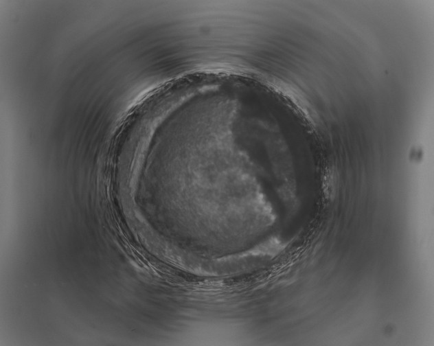 X0000097850968200803281244