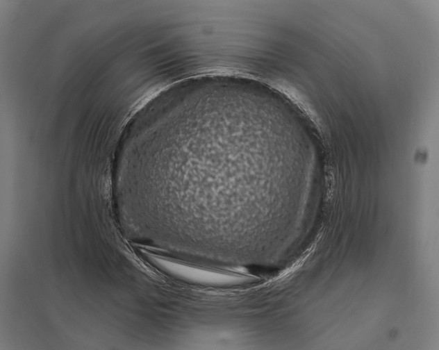 X0000097850969200803281244