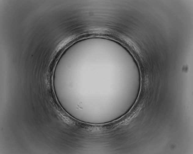 X0000097850970200803281244