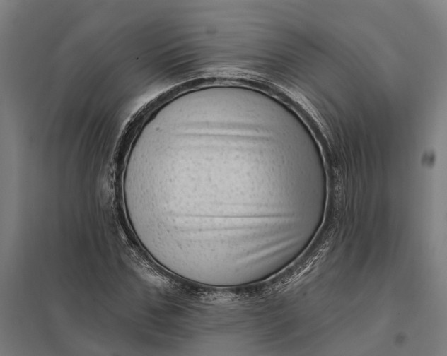 X0000097850971200803281244