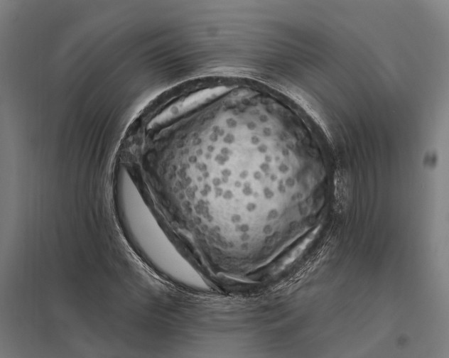 X0000097850972200803281244