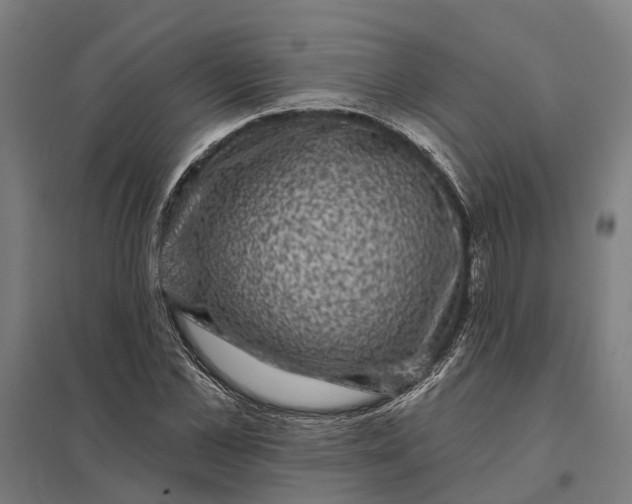 X0000097850973200803281244