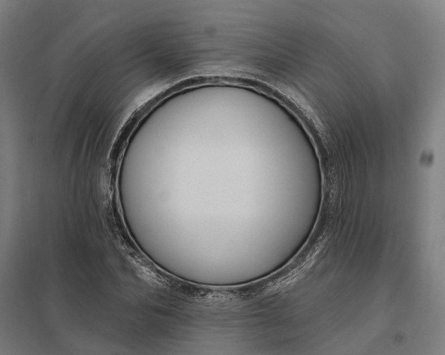 X0000097850974200803281244