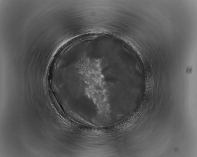 X0000097850975200803281244