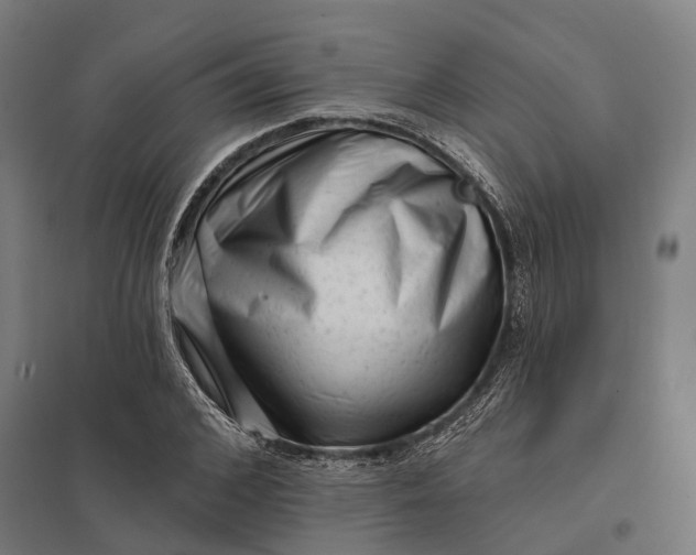 X0000097850976200803281244