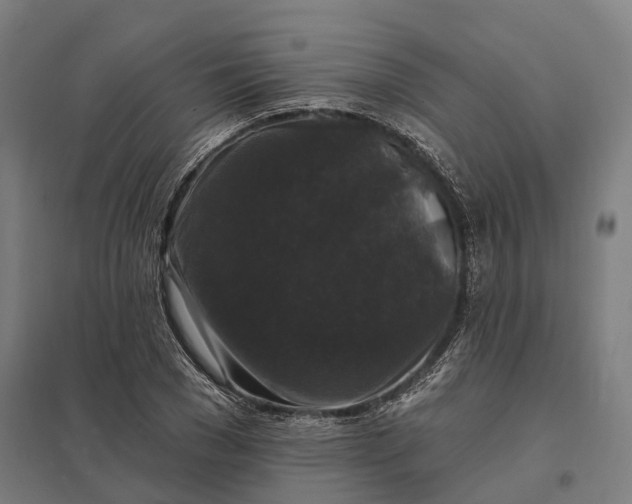 X0000097850977200803281244