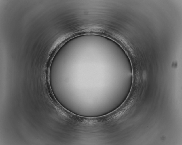 X0000097850978200803281244