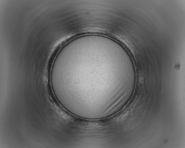 X0000097850979200803281244