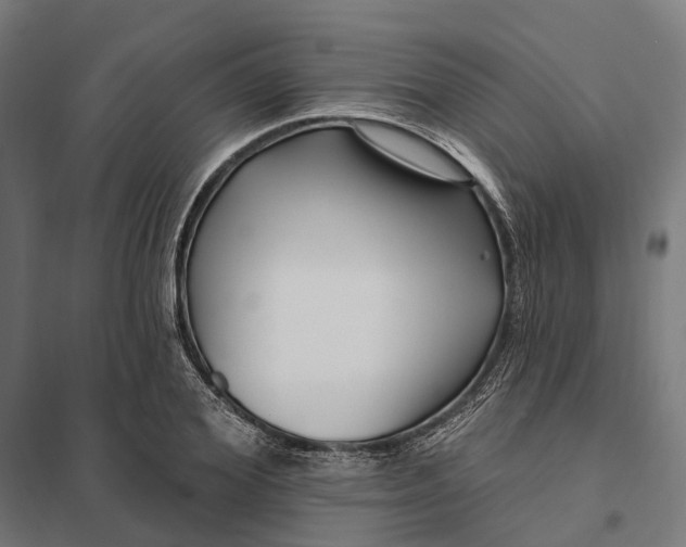 X0000097850980200803281244