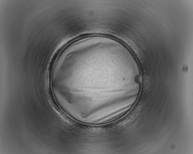 X0000097850982200803281244