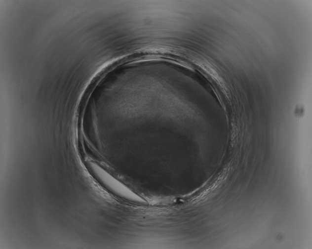 X0000097850984200803281244