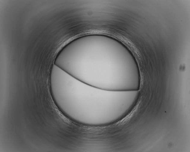 X0000097850985200803281244