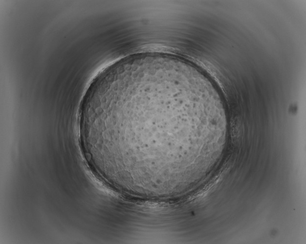 X0000097850987200803281244