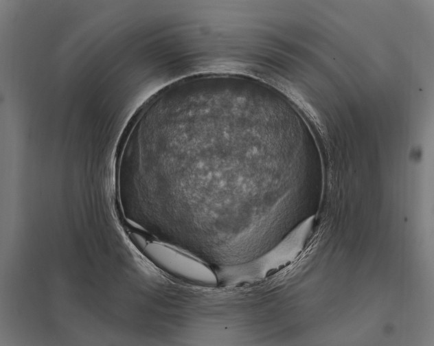 X0000097850988200803281244