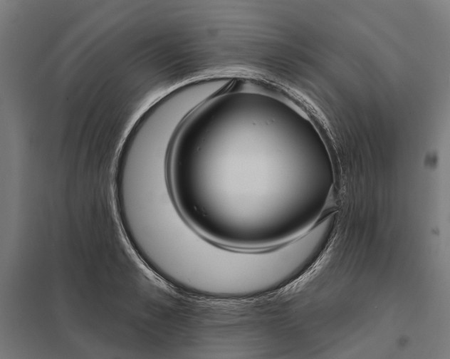 X0000097850989200803281244