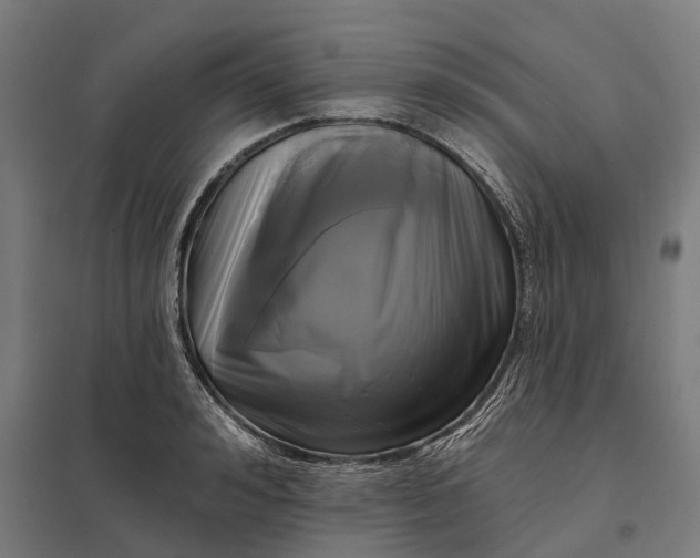 X0000097850992200803281244