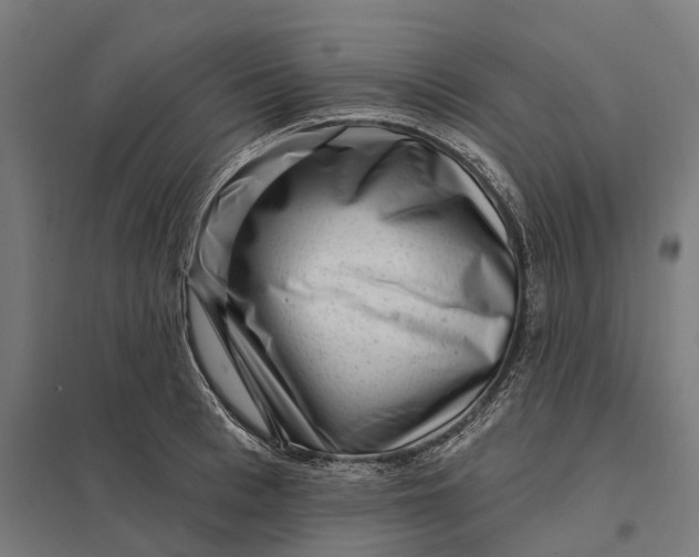 X0000097850993200803281244