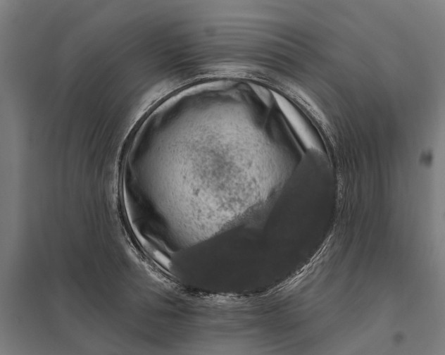 X0000097850994200803281244