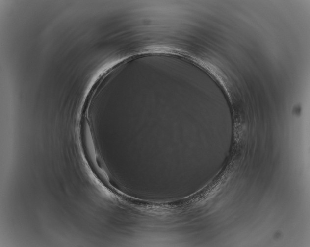 X0000097850995200803281244