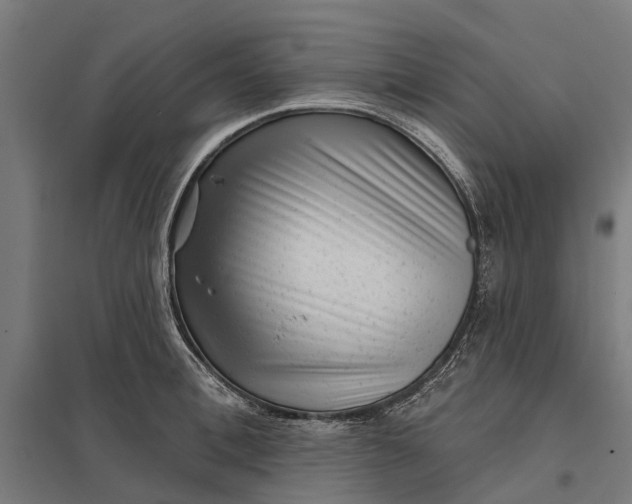 X0000097850996200803281244