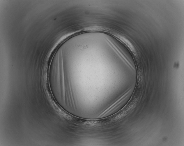 X0000097851000200803281244