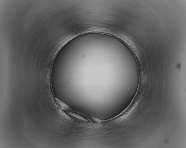 X0000097851001200803281244