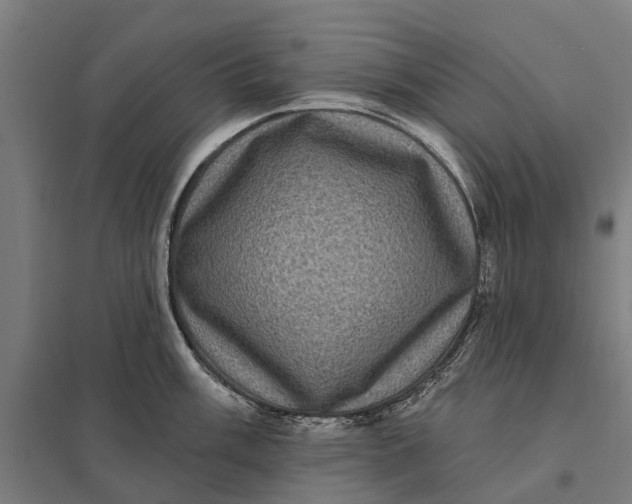 X0000097851003200803281244