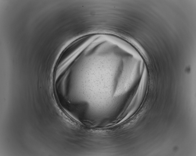 X0000097851004200803281244